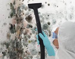 Best Comprehensive Air Testing for Mold Contaminants  in St Joseph, MN